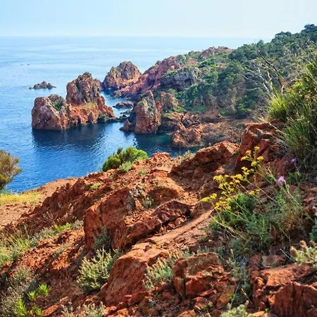 Renove Avec Terrasse St Raphael *