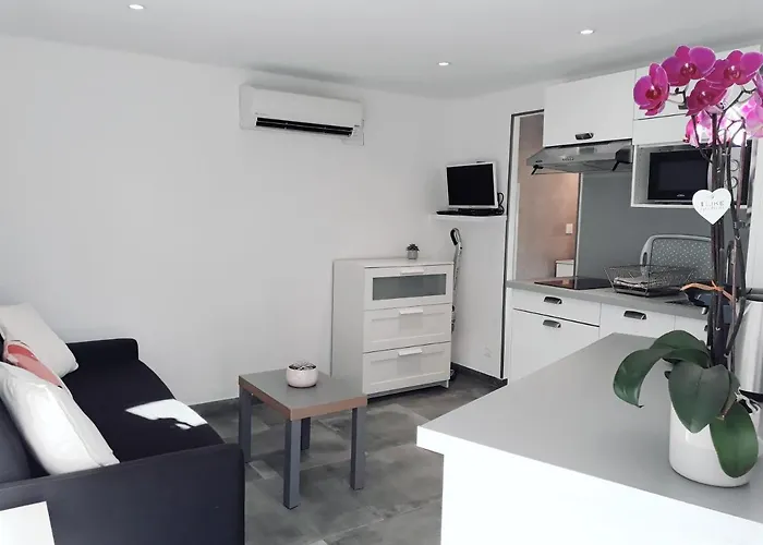 Renove Avec Terrasse St Raphael Tatil Evi