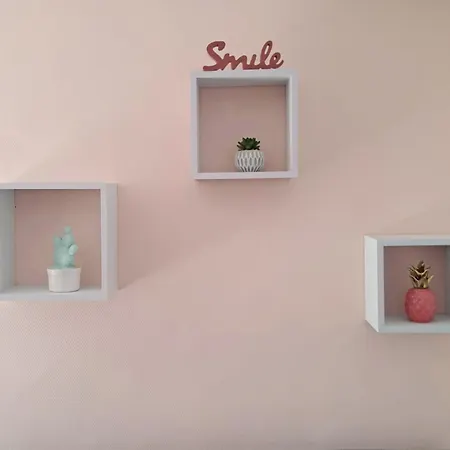 Renove Avec Terrasse St Raphael בית נופש *